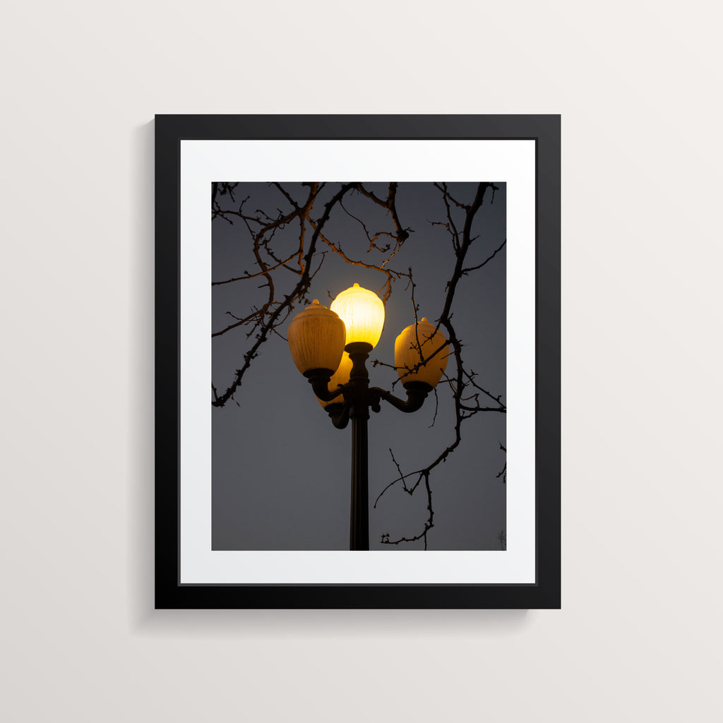 3 Lights