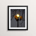 3 Lights