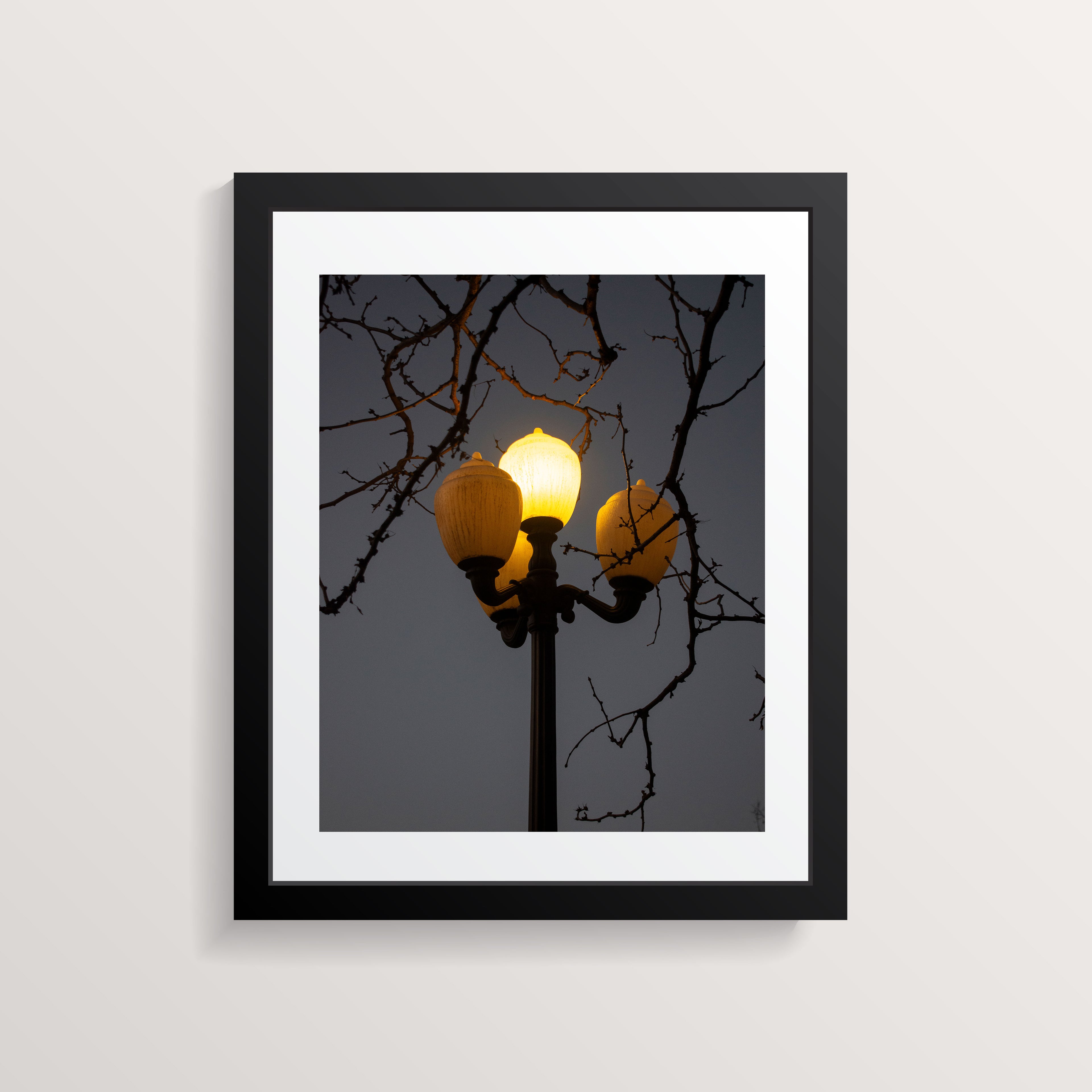 3 Lights