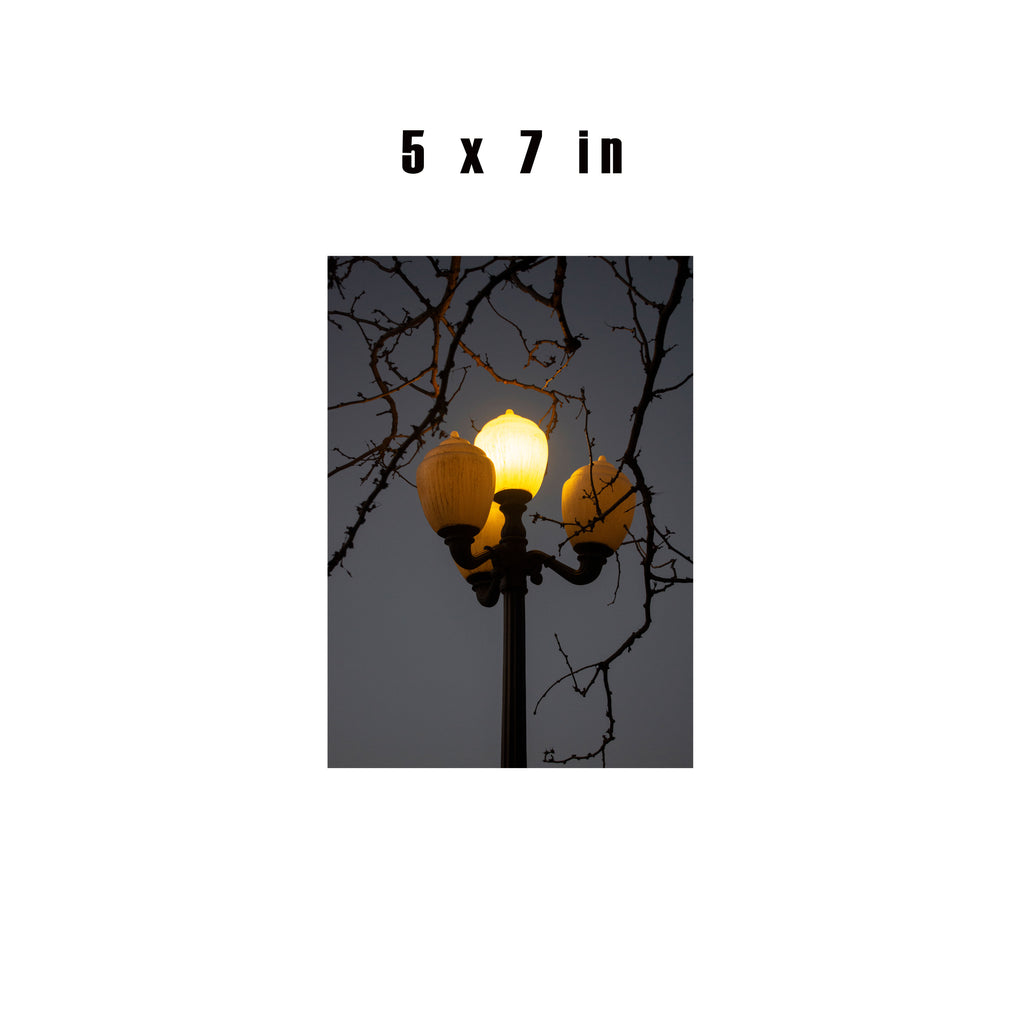 3 Lights