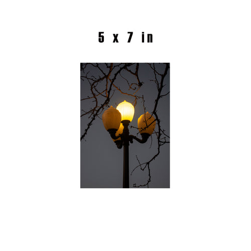 3 Lights