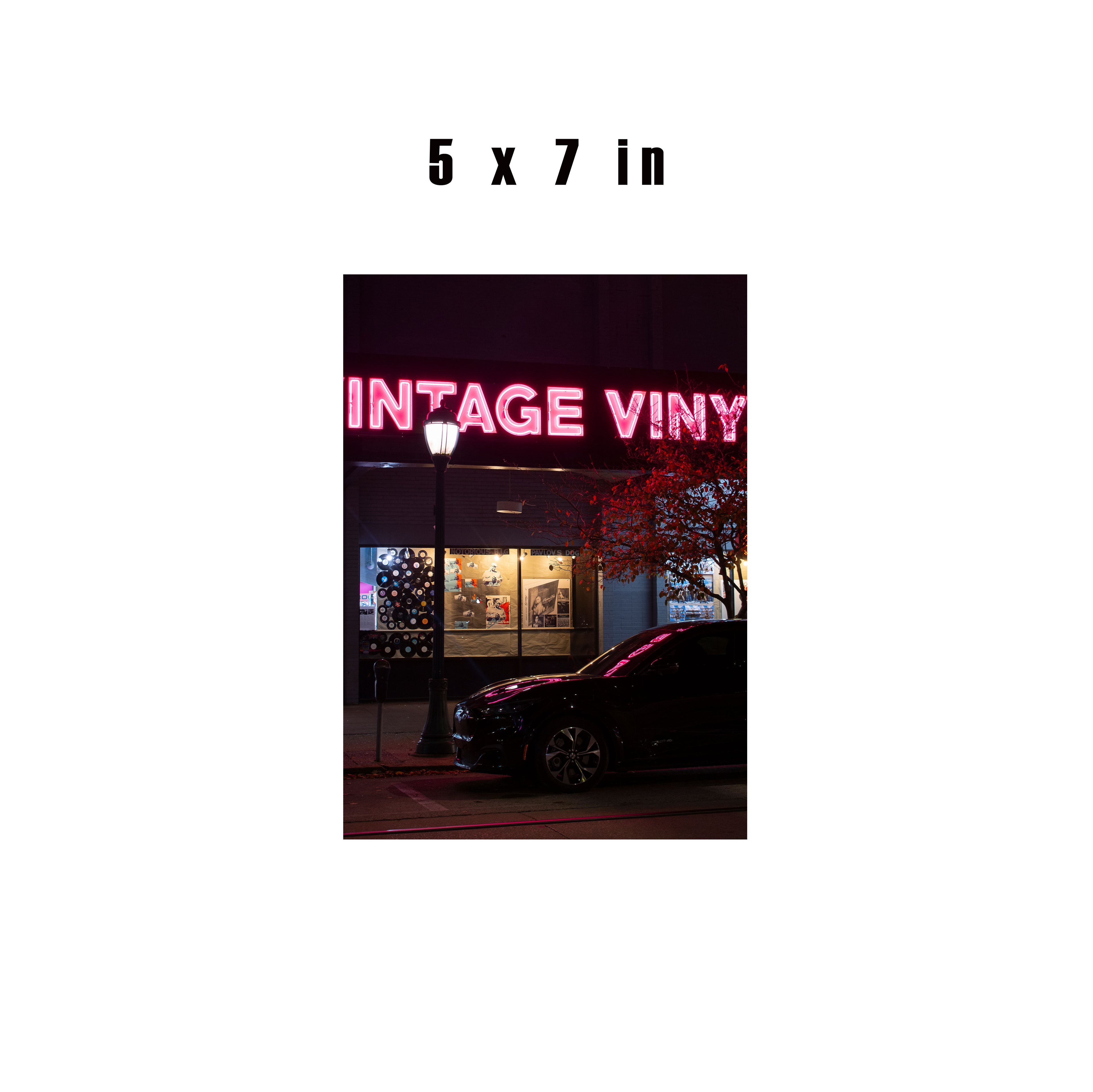 Vintage Vinyl