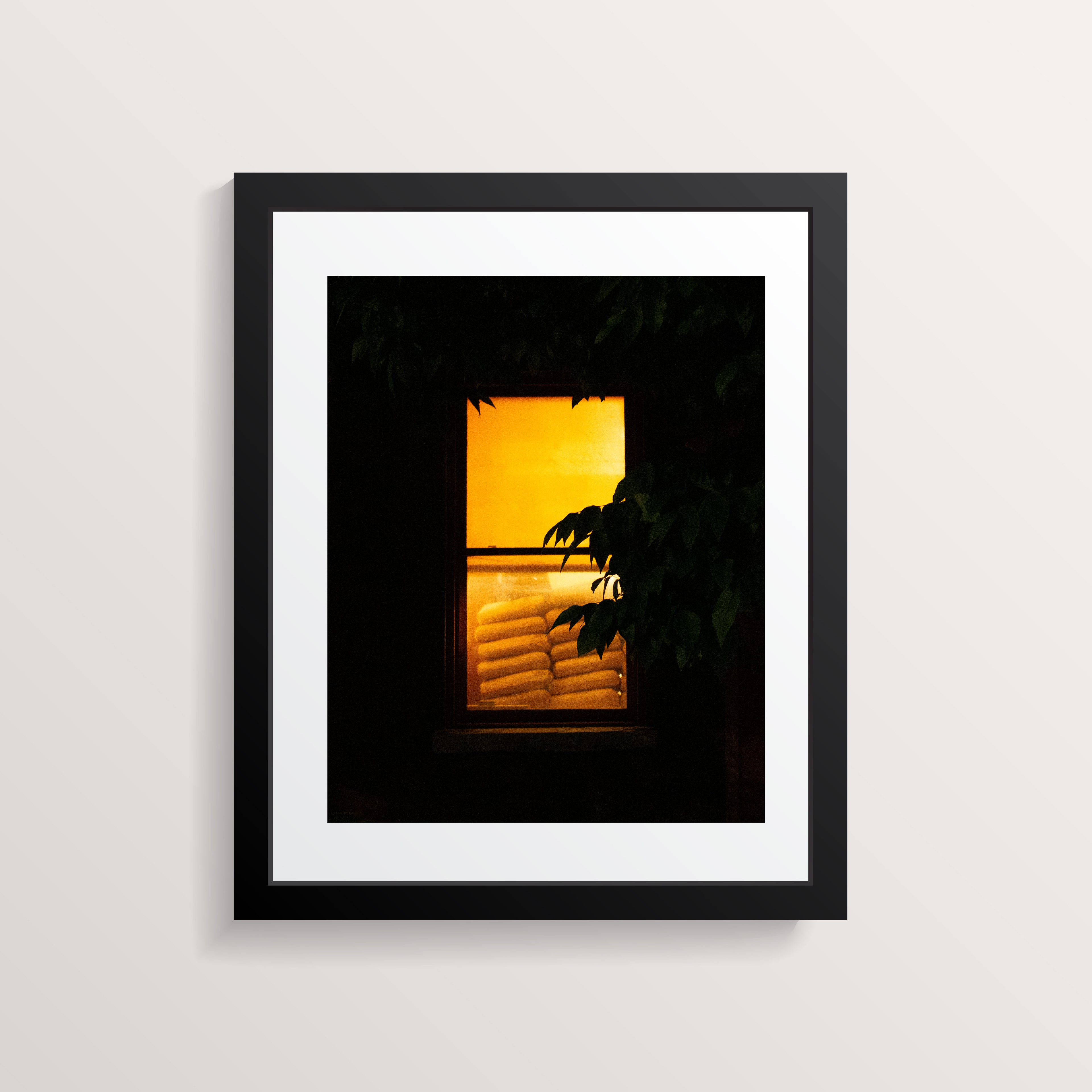 Window