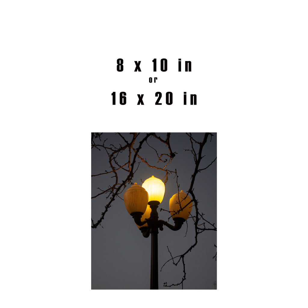 3 Lights