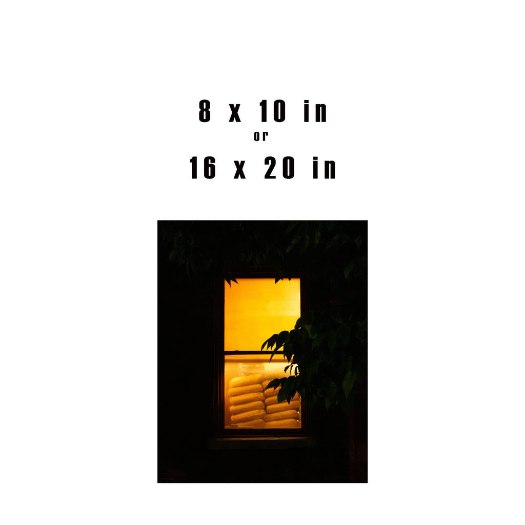 Window